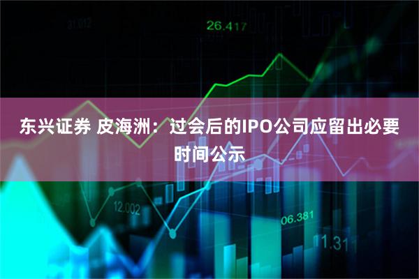 东兴证券 皮海洲：过会后的IPO公司应留出必要时间公示