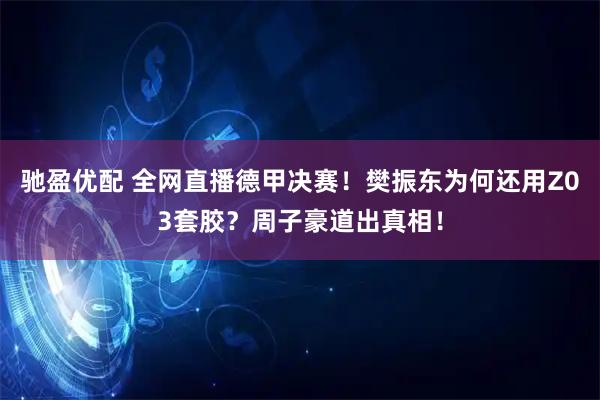 驰盈优配 全网直播德甲决赛！樊振东为何还用Z03套胶？周子豪道出真相！
