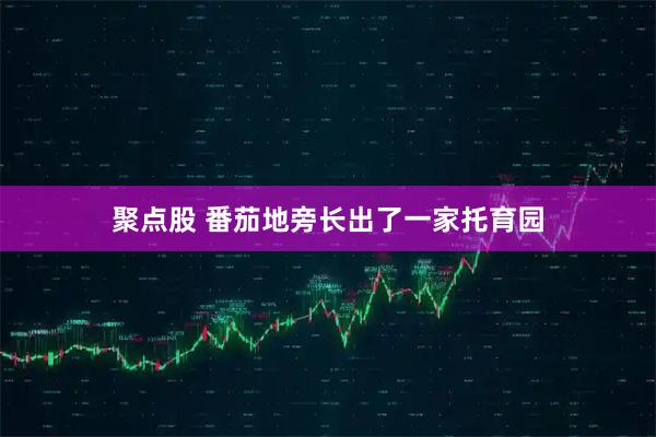 聚点股 番茄地旁长出了一家托育园